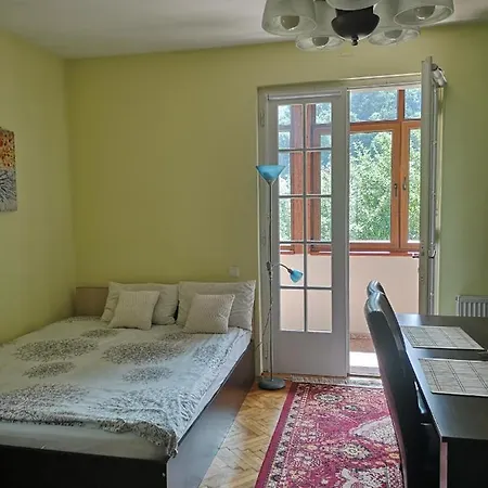 Casa Marius 홈스테이 브라쇼브
