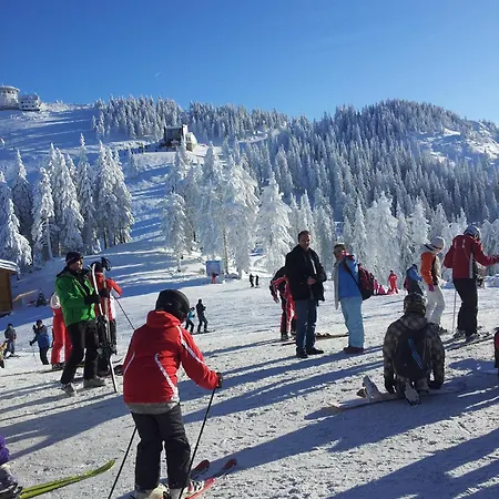 Pansiyon Casa Marius Braşov