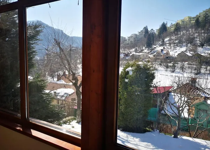 Casa Marius Homestay