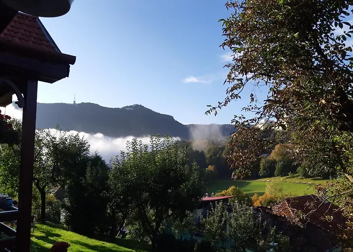 Casa Marius Δωμάτια σε οικογενειακή κατοικία Μπρασόβ