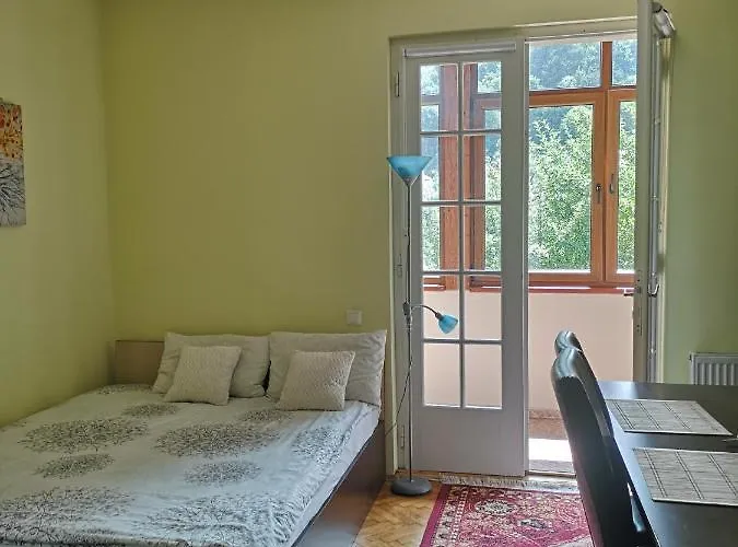 Casa Marius Homestay Brasov