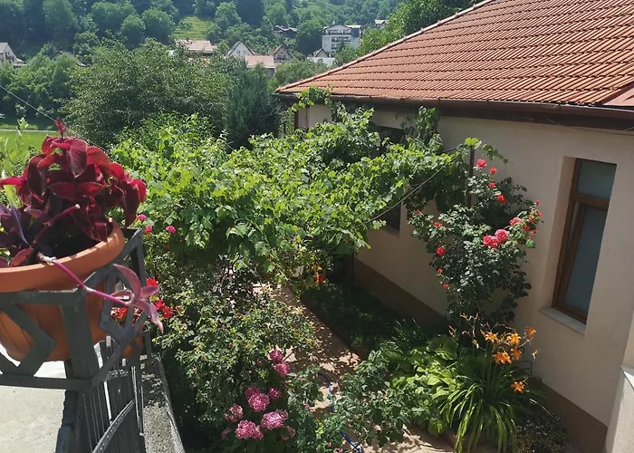 Casa Marius Homestay *