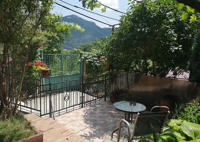 Casa Marius Μπρασόβ